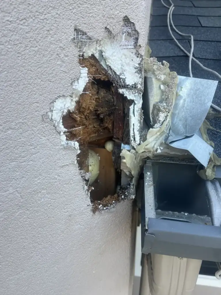 Stucco opened up to show rotted sheathing at a roof-to-wall joint